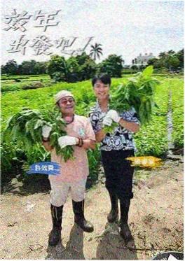 喜剧大赛